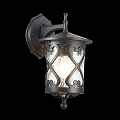 Светильник уличный настенный ST-Luce Черный/Черный, Прозрачный E27 1*60W SL085.411.01