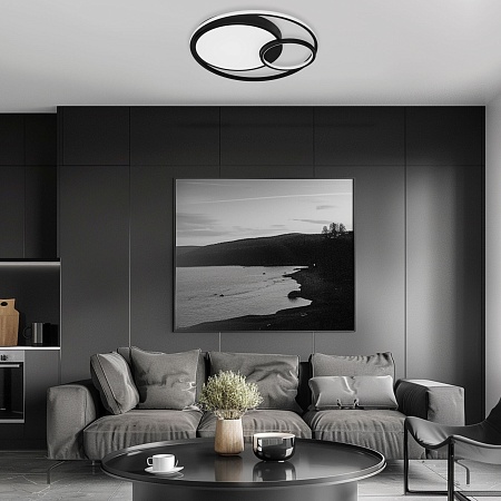 Потолочный акцентный светильник Eurosvet 90254/1 черный - фото