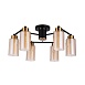 Потолочная люстра Arte Lamp LEO A7027PL-6BK - фото