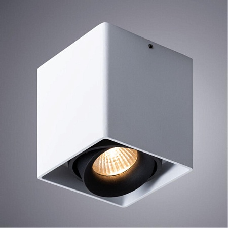 Точечный накладной светильник Arte Lamp PICTOR A5654PL-1WH - фото