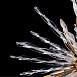 Подвесная люстра Arte Lamp BELLA A1066SP-12PB - фото