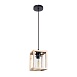 Подвесной светильник Arte Lamp DUBLIN A7025SP-1BK - фото