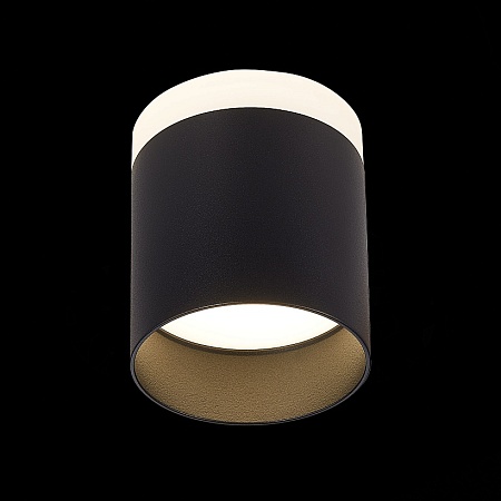 Светильник потолочный Черный LED 1*12W 4000K 936Lm Ra>80 120° IP20 D100xH90 170-240V ST102.442.12 - фото