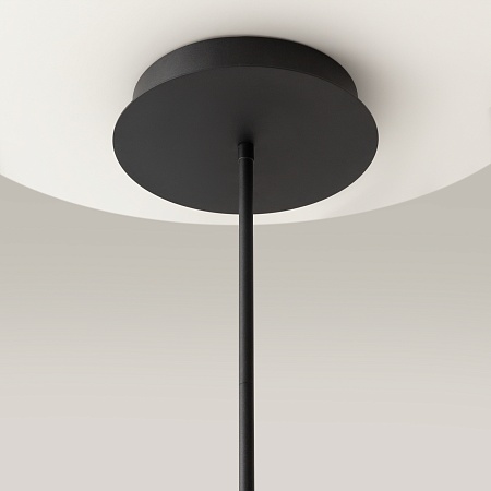 Подвесной светильник Maytoni Line MOD016PL-L52BK - фото