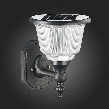 Светильник уличный настенный ST-Luce Черный/Черный, Прозрачный LED 1*2W 3000-6000K SL9502.401.01 - фото