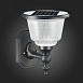 Светильник уличный настенный ST-Luce Черный/Черный, Прозрачный LED 1*2W 3000-6000K SL9502.401.01 - фото