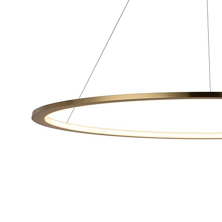 10014XL Подвесной светильник LOFT IT Ring - фото