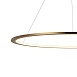 10014XL Подвесной светильник LOFT IT Ring - фото