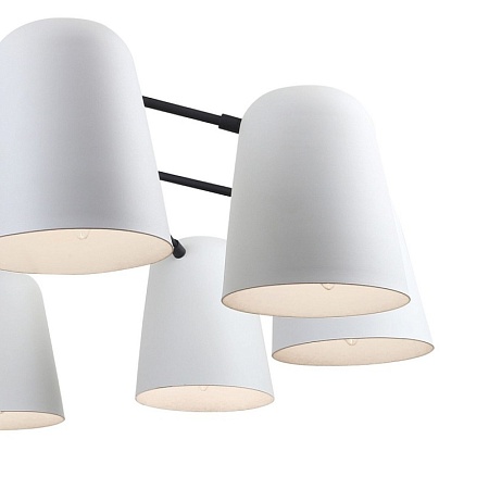 Подвесная люстра F-Promo 2762-10P - фото