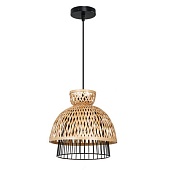 Подвесной светильник Arte Lamp WOODSTOCK A7070SP-1BK