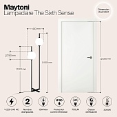 Напольный светильник (торшер) Maytoni The Sixth Sense Z020FL-L12BK