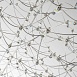 Подвесная люстра Favourite 4305-12P - фото