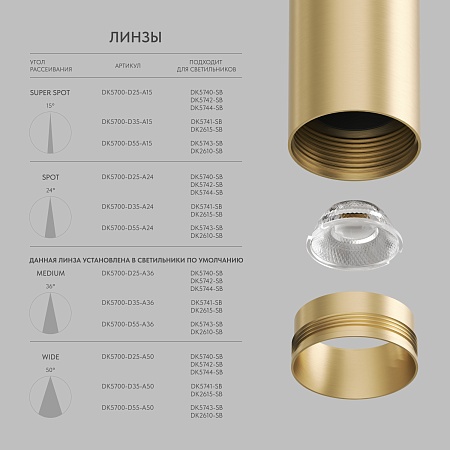 Светильник на шине Denkirs SHINE SPOT DK5740-SB - фото
