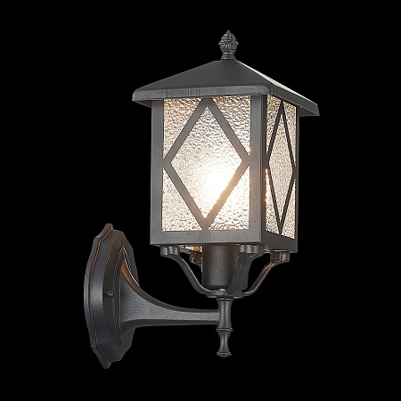 Светильник уличный настенный ST-Luce Черный/Черный, Прозрачный E27 1*60W SL084.401.01 - фото