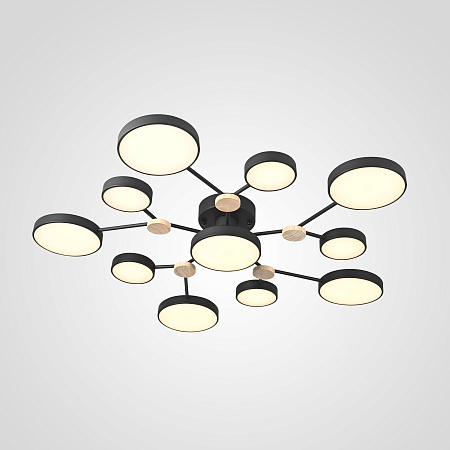Потолочная Люстра Gamma D102 Black Imperiumloft 223770-23 - фото