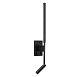 10012/6+3BK Настенный светильник LOFT IT Stick - фото
