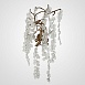 Настенный Светильник Fairytree Wall Imperiumloft 167148-26 - фото