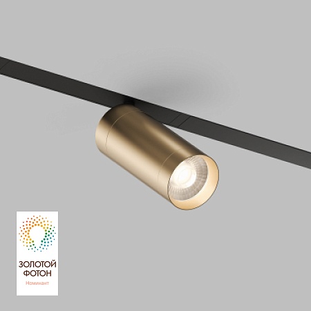 Светильник на шине Denkirs SMART SPOT DK8020-BG - фото