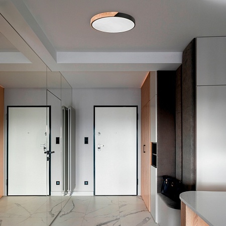 Светильник потолочный Белый, Светлое дерево/Белый LED 1*45W 3000K/4000K/6000K SLE200952-01 - фото