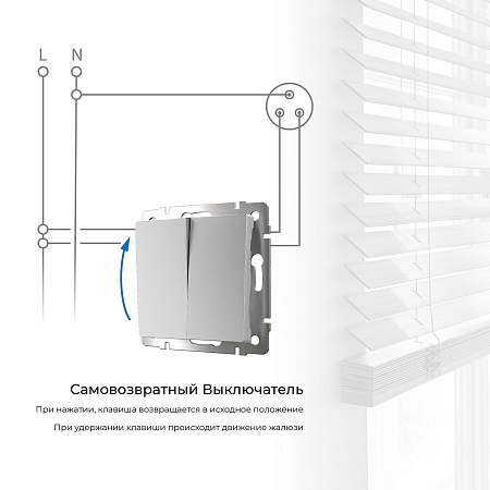 Выключатель двухклавишный с самовозвратом (серебряный) W1122406 - фото