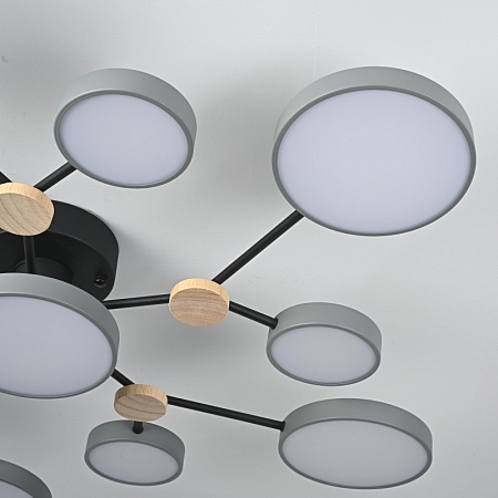 Потолочная Люстра Gamma D102 Grey Imperiumloft 223767-23 - фото