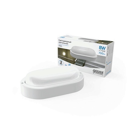 Светильник GAUSS 161411308_GAUSS - фото
