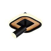 Потолочный светильник F-Promo 4439-1C