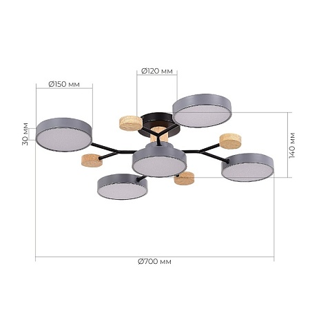 Светильник потолочный Серый/Серый LED 5*12W 3000K/4500K/6000K SLE6006-702-05 - фото