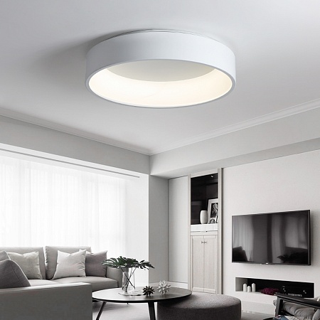 Потолочный Светодиодный Светильник Tray D45 White Imperiumloft 102137-26 - фото