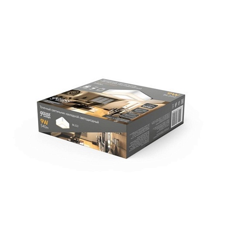 Потолочная люстра GAUSS BL222_GAUSS - фото