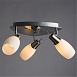 Спот Arte Lamp VOLARE A4590PL-3SS - фото