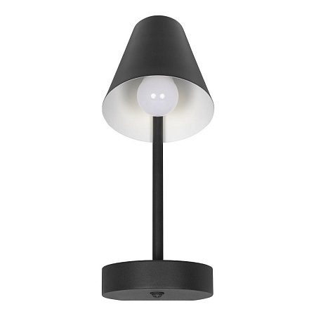 10216/1W Black Настенный светильник LOFT IT Shelf - фото