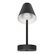 10216/1W Black Настенный светильник LOFT IT Shelf - фото