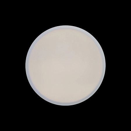 10002/12 White Потолочный светильник LOFT IT Axel - фото