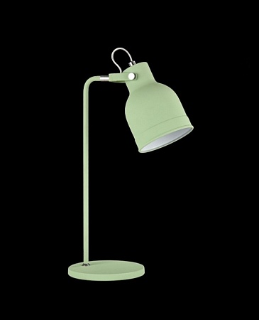 Настольный светильник Maytoni Pixar Z148-TL-01-E - фото