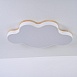 Потолочный Светильник Cloud Eco D83 White Imperiumloft 189502-26 - фото