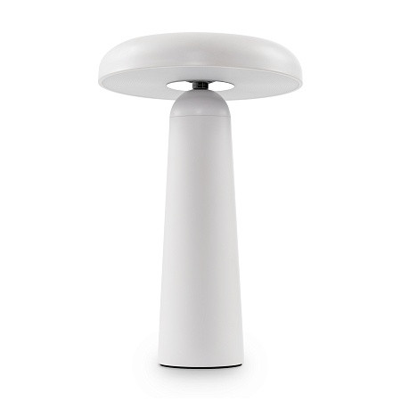Аккумуляторный светильник Freya FR6109TL-L4W - фото