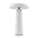 Аккумуляторный светильник Freya FR6109TL-L4W - фото