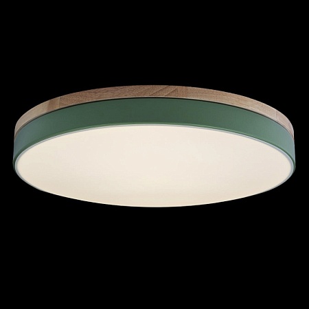 10001/36 Green Потолочный светильник LOFT IT Axel - фото