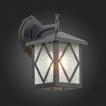 Светильник уличный настенный ST-Luce Черный/Черный, Прозрачный E27 1*60W SL084.411.01 - фото