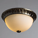 Потолочный светильник Arte Lamp PORCH A7838PL-2AB - фото