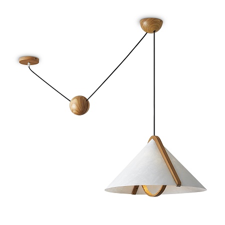 Потолочный светильник Freya FR5554CL-01T - фото