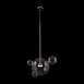 Подвесной светильник Freya Amoris FR5128PL-L10BS1 - фото