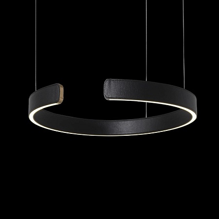 10025/400 Black Подвесной светильник LOFT IT Ring - фото
