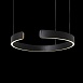 10025/400 Black Подвесной светильник LOFT IT Ring - фото