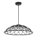 Светильник подвесной ST-Luce Черный/Черный LED 1*20W 3000K SL6016.403.01 - фото