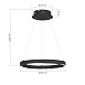 Светильник подвесной ST-Luce черный/черный LED 1*25W 4000K SL6238.423.01 - фото
