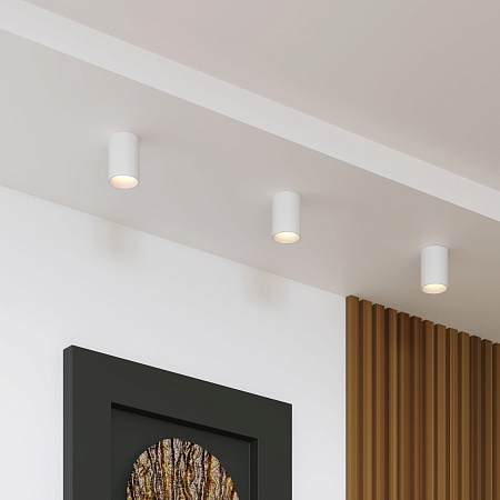 Накладной потолочный светильник 25011/01 Elektrostandard - фото