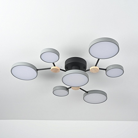 Потолочная Люстра Gamma D88 Grey Imperiumloft 223765-23 - фото