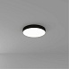 Потолочный светильник Arte Lamp FADO A6650PL-1BK - фото
